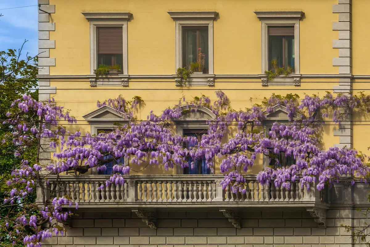 Spring Balcony Garden Checklist: Cleaning, Pruning, and Planting
